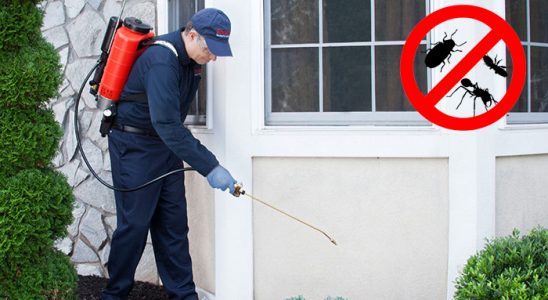 Çan Tahtakurusu İlaçlama böcek ilaçlama ve haşere kontrolü — ilaclama-tr.com